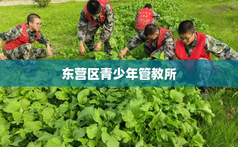 东营区青少年管教所