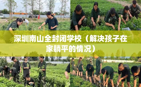 深圳南山全封闭学校（解决孩子在家躺平的情况）