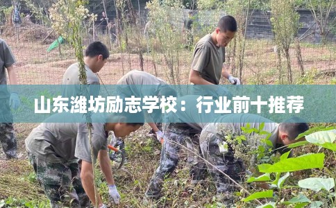 山东潍坊励志学校：行业前十推荐