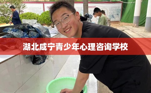 湖北咸宁青少年心理咨询学校