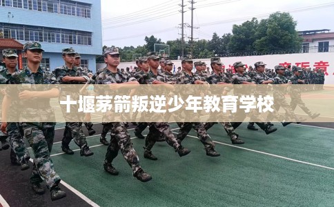 十堰茅箭叛逆少年教育学校