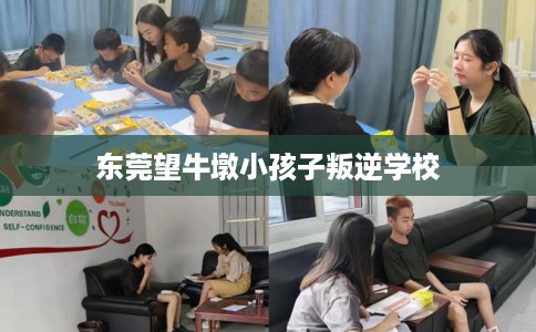 东莞望牛墩小孩子叛逆学校