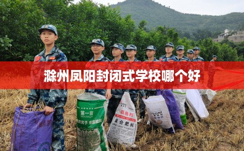 滁州凤阳封闭式学校哪个好