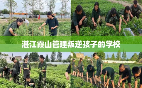 湛江霞山管理叛逆孩子的学校