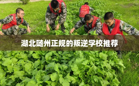 湖北随州正规的叛逆学校推荐