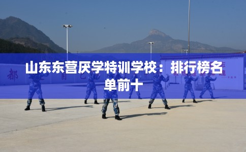 山东东营厌学特训学校：排行榜名单前十