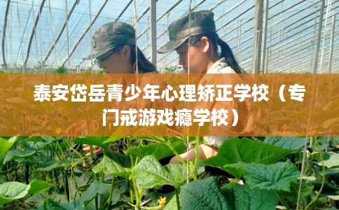 泰安岱岳青少年心理矫正学校（专门戒游戏瘾学校）