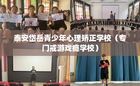 泰安岱岳青少年心理矫正学校（专门戒游戏瘾学校）