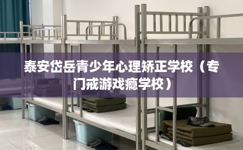 泰安岱岳青少年心理矫正学校（专门戒游戏瘾学校）