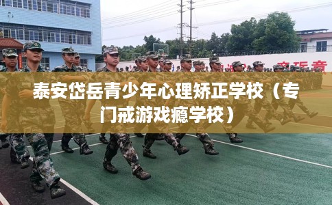 泰安岱岳青少年心理矫正学校（专门戒游戏瘾学校）