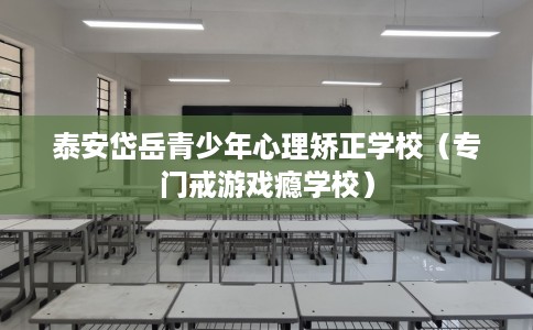 泰安岱岳青少年心理矫正学校（专门戒游戏瘾学校）