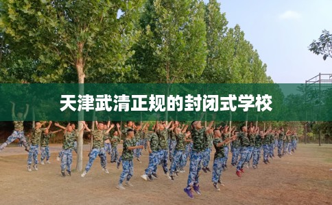 天津武清正规的封闭式学校