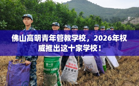 佛山高明青年管教学校，2026年权威推出这十家学校！