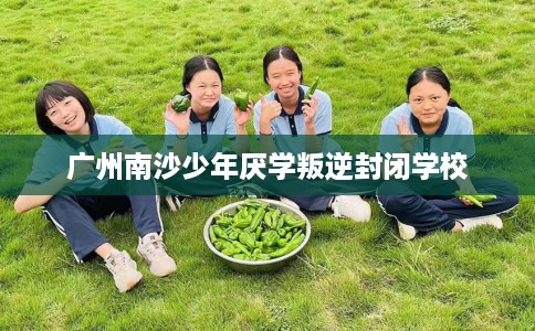 广州南沙少年厌学叛逆封闭学校