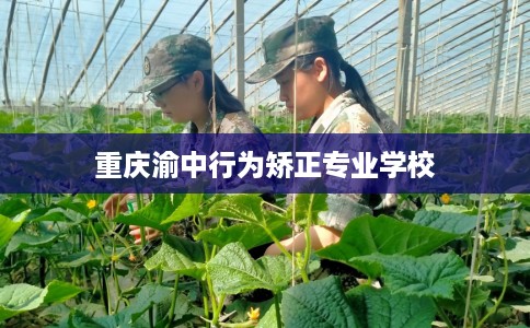 重庆渝中行为矫正专业学校