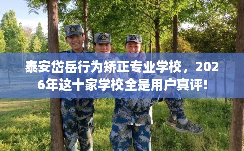 泰安岱岳行为矫正专业学校，2026年这十家学校全是用户真评!