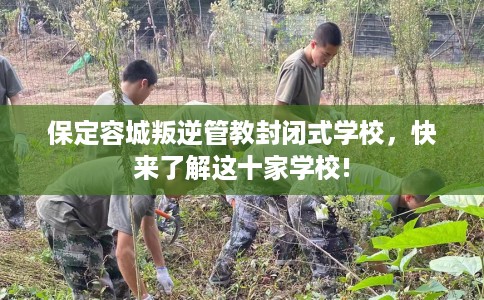 保定容城叛逆管教封闭式学校，快来了解这十家学校!