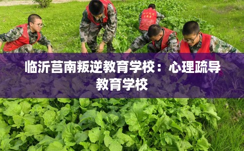临沂莒南叛逆教育学校：心理疏导教育学校