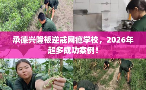 承德兴隆叛逆戒网瘾学校，2026年超多成功案例！