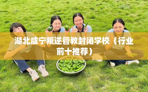 湖北咸宁叛逆管教封闭学校（行业前十推荐）