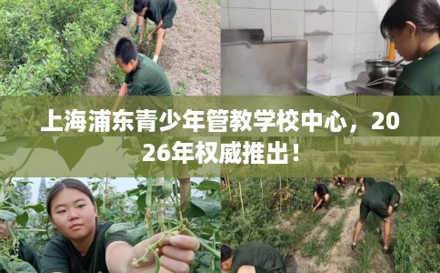 上海浦东青少年管教学校中心，2026年权威推出！