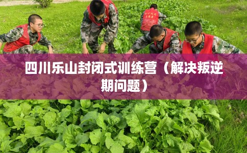 四川乐山封闭式训练营（解决叛逆期问题）
