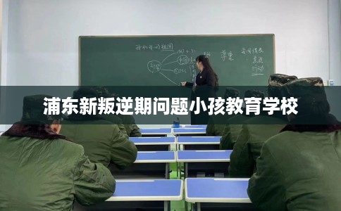 浦东新叛逆期问题小孩教育学校