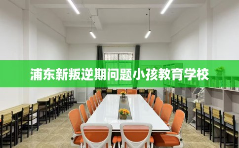 浦东新叛逆期问题小孩教育学校
