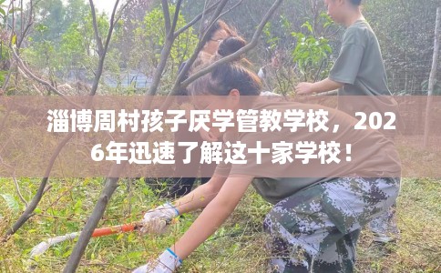 淄博周村孩子厌学管教学校，2026年迅速了解这十家学校！