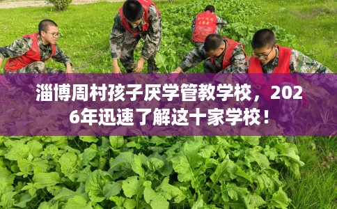 淄博周村孩子厌学管教学校，2026年迅速了解这十家学校！