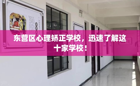 东营区心理矫正学校，迅速了解这十家学校！