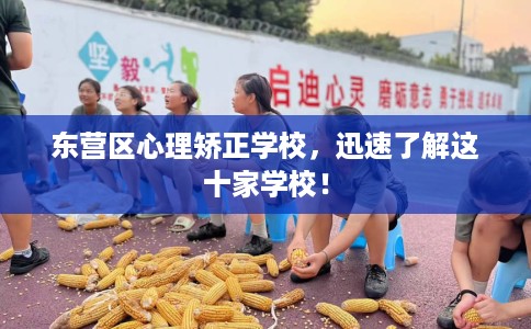 东营区心理矫正学校，迅速了解这十家学校！