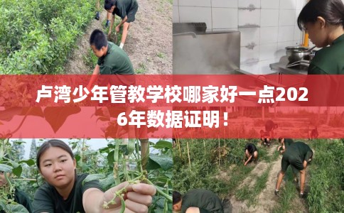 卢湾少年管教学校哪家好一点2026年数据证明！