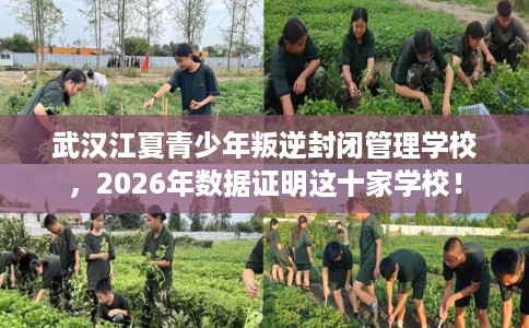 武汉江夏青少年叛逆封闭管理学校，2026年数据证明这十家学校！
