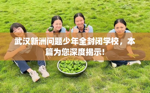 武汉新洲问题少年全封闭学校，本篇为您深度揭示!
