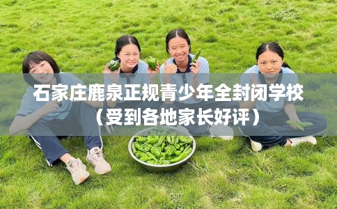 石家庄鹿泉正规青少年全封闭学校（受到各地家长好评）