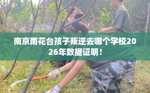 南京雨花台孩子叛逆去哪个学校2026年数据证明！