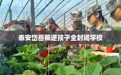 泰安岱岳叛逆孩子全封闭学校