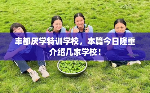 丰都厌学特训学校，本篇今日隆重介绍几家学校！