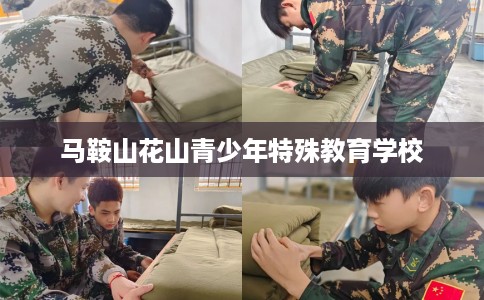 马鞍山花山青少年特殊教育学校