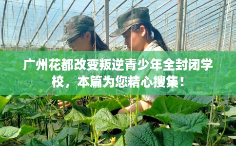 广州花都改变叛逆青少年全封闭学校，本篇为您精心搜集！