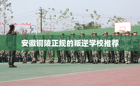 安徽铜陵正规的叛逆学校推荐