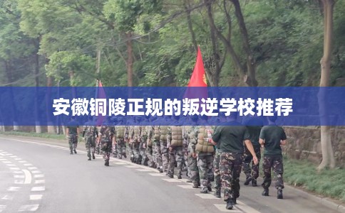 安徽铜陵正规的叛逆学校推荐