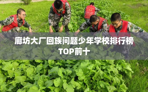 廊坊大厂回族问题少年学校排行榜TOP前十