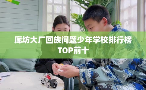 廊坊大厂回族问题少年学校排行榜TOP前十