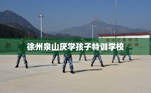 徐州泉山厌学孩子特训学校