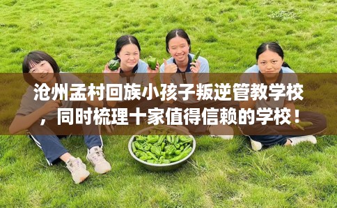 沧州孟村回族小孩子叛逆管教学校，同时梳理十家值得信赖的学校！