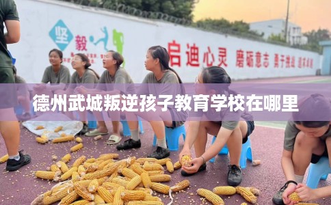 德州武城叛逆孩子教育学校在哪里