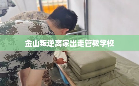 金山叛逆离家出走管教学校