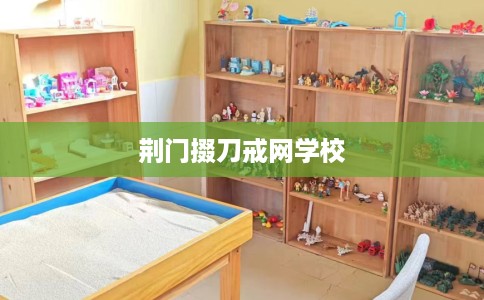 荆门掇刀戒网学校